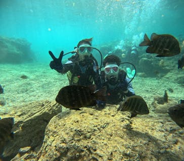 沖縄マリンサービス碧に投稿された画像（2024/4/10）