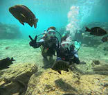 沖縄マリンサービス碧に投稿された画像（2024/4/10）