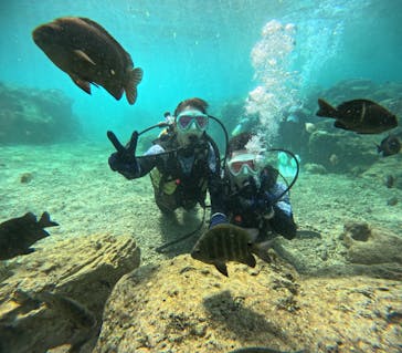 沖縄マリンサービス碧に投稿された画像（2024/4/10）