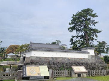 小田原城に投稿された画像（2024/4/10）