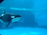名古屋港水族館に投稿された画像（2024/4/10）