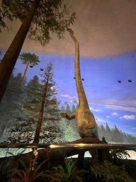 福井県立恐竜博物館に投稿された画像（2024/4/10）