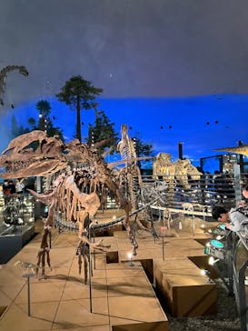 福井県立恐竜博物館に投稿された画像（2024/4/10）