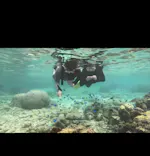 沖縄マリンサービス碧に投稿された画像（2024/4/10）