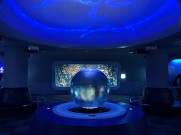 新江ノ島水族館に投稿された画像（2024/4/10）