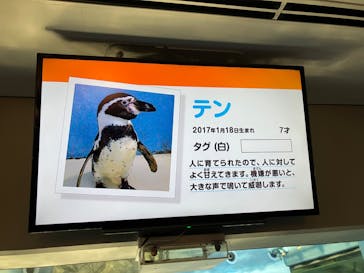 新江ノ島水族館に投稿された画像（2024/4/10）
