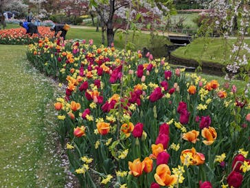浜名湖花博2024に投稿された画像（2024/4/10）