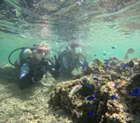 沖縄マリンサービス碧に投稿された画像（2024/4/10）