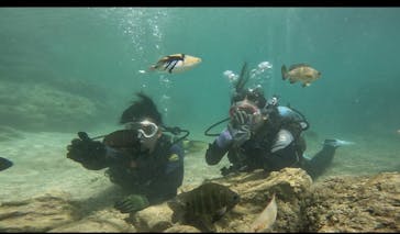 武藤潜水に投稿された画像（2024/4/10）