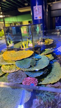 竹島水族館に投稿された画像（2024/4/10）