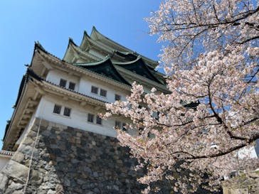 名古屋城に投稿された画像（2024/4/10）