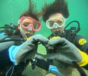 武藤潜水に投稿された画像（2024/4/10）