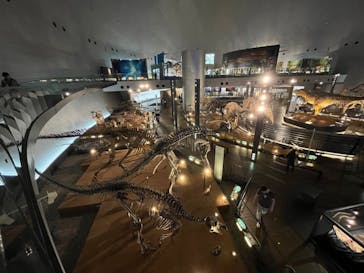 福井県立恐竜博物館に投稿された画像（2024/4/10）