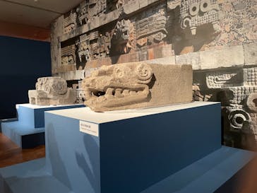 特別展「古代メキシコ ーマヤ、アステカ、テオティワカン」に投稿された画像（2024/4/10）