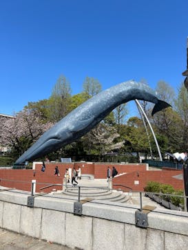 特別展「大哺乳類展３－わけてつなげて大行進」に投稿された画像（2024/4/10）