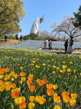 万博記念公園に投稿された画像（2024/4/10）