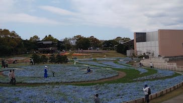 浜名湖花博2024に投稿された画像（2024/4/10）