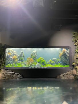 DMMかりゆし水族館に投稿された画像（2024/4/8）