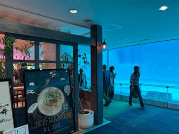 マリンワールド海の中道に投稿された画像（2024/4/10）