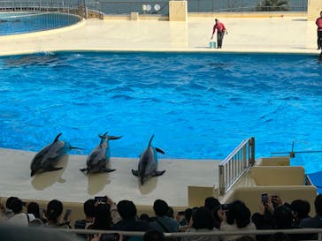 マリンワールド海の中道に投稿された画像（2024/4/10）