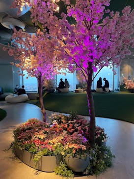 サンシャイン60展望台に投稿された画像（2024/4/10）