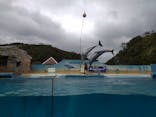 下田海中水族館に投稿された画像（2024/4/10）