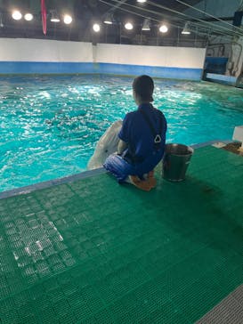 鴨川シーワールドに投稿された画像（2024/4/11）