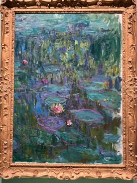 モネ　連作の情景に投稿された画像（2024/4/11）