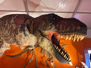 オダイバ恐竜博覧会2024 -福井から“ヤツラ”が新幹線でやってくる！-に投稿された画像（2024/4/11）