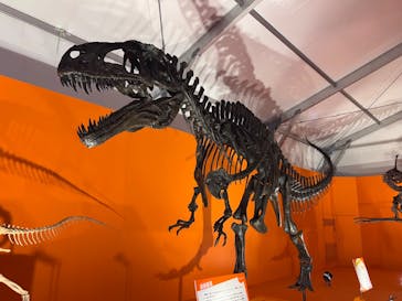 オダイバ恐竜博覧会2024 -福井から“ヤツラ”が新幹線でやってくる！-に投稿された画像（2024/4/11）