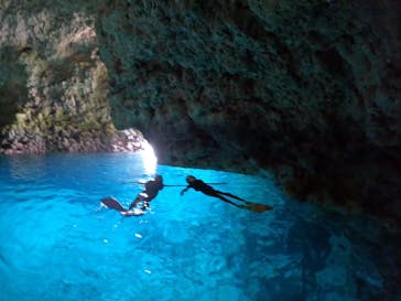 沖縄マリンサービス碧に投稿された画像（2024/4/11）