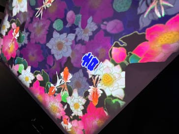 UWS AQUARIUM GA☆KYOに投稿された画像（2024/4/11）