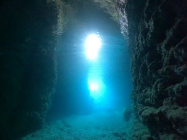 武藤潜水に投稿された画像（2024/4/11）