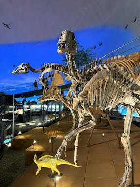 福井県立恐竜博物館に投稿された画像（2024/4/11）