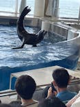 アクアワールド茨城県大洗水族館に投稿された画像（2024/4/11）