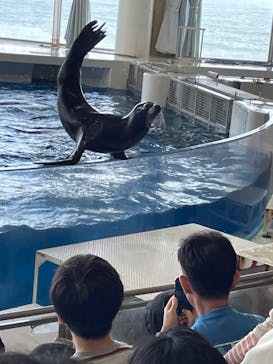 アクアワールド茨城県大洗水族館に投稿された画像（2024/4/11）