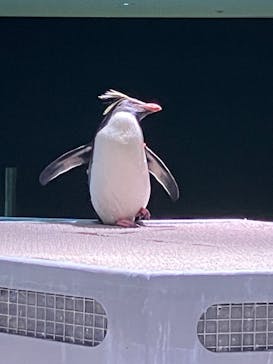 AOAO SAPPOROに投稿された画像（2024/4/11）