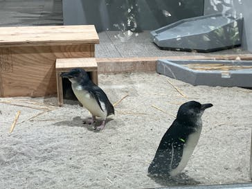 AOAO SAPPOROに投稿された画像（2024/4/11）