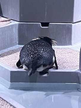 AOAO SAPPOROに投稿された画像（2024/4/11）