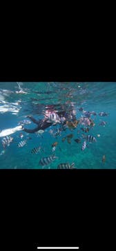 武藤潜水に投稿された画像（2024/4/11）