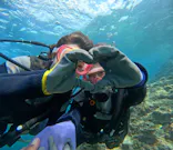 武藤潜水に投稿された画像（2024/4/11）