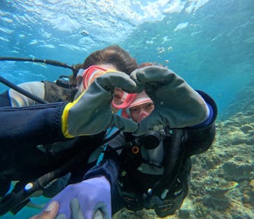 武藤潜水に投稿された画像（2024/4/11）