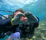 武藤潜水に投稿された画像（2024/4/11）