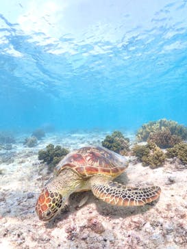 ちゃこたびに投稿された画像（2024/4/11）