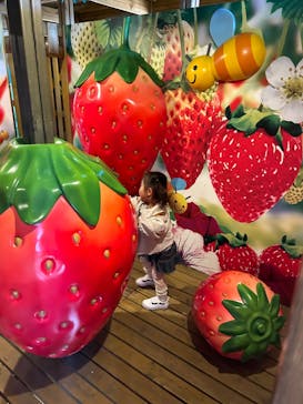 鈴鹿サーキットに投稿された画像（2024/4/11）