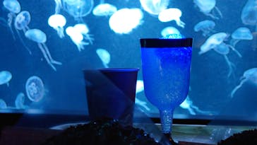 AOAO SAPPOROに投稿された画像（2024/4/11）