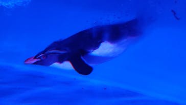 AOAO SAPPOROに投稿された画像（2024/4/11）