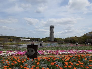 浜名湖花博2024に投稿された画像（2024/4/11）