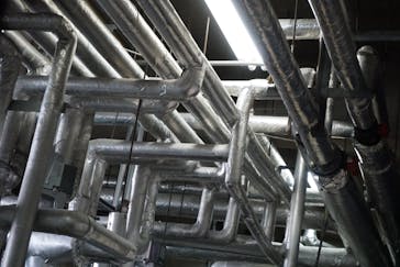 しながわ水族館に投稿された画像（2024/4/11）