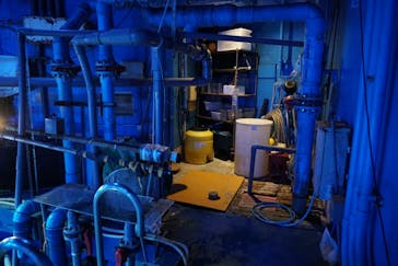 しながわ水族館に投稿された画像（2024/4/11）